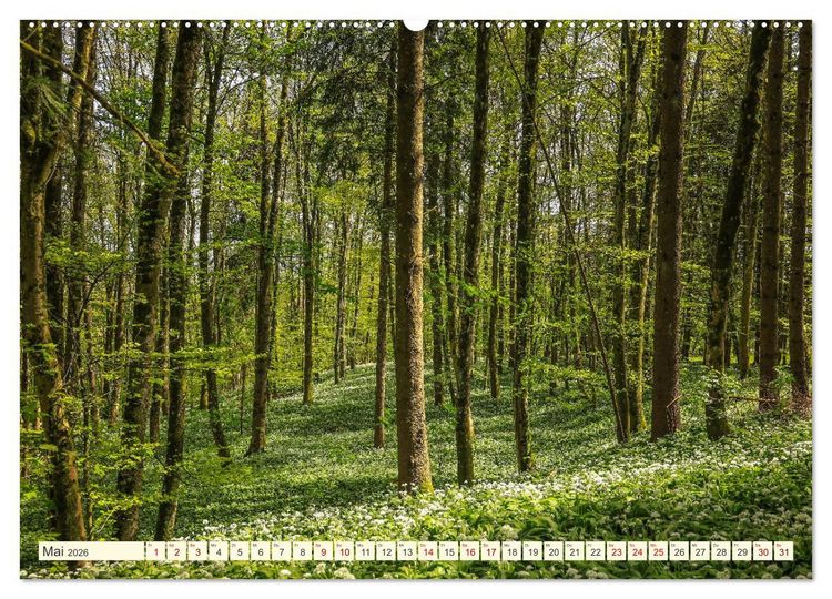 Produktbild: Hegau und Bodensee - Lieblingsorte entdecken (Wandkalender 2026 DIN A2 quer), CALVENDO Monatskalender