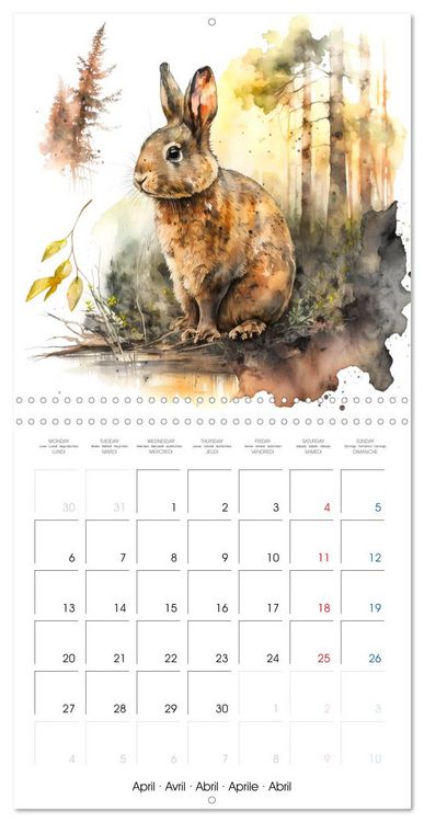 Produktbild: Animaux de la for&ecirc;t &agrave; l'aquarelle (Calendrier mural carr&eacute; 2026 30x30 cm) Calendrier double avec une page pour vos prises de notes