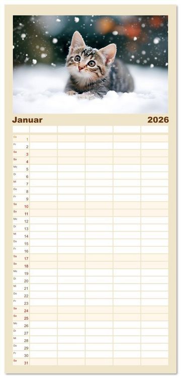 Produktbild: Familienplaner 2026 - Katzen - sanfte Sch&ouml;nheiten mit 5 Spalten (Wandkalender, 21 x 45 cm) CALVENDO