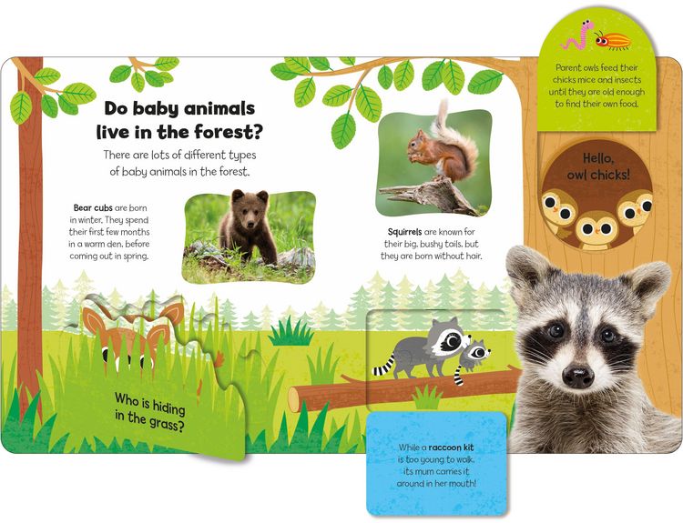 Produktbild: Baby Animals (Little Kids, Big Questions)