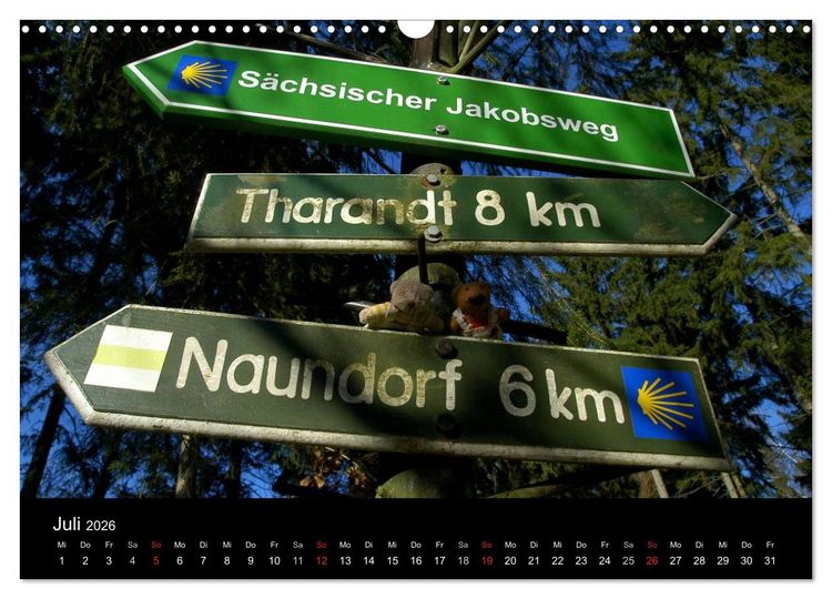 Produktbild: Der B&auml;rchenkalender 2026 (Wandkalender 2026 DIN A3 quer), CALVENDO Monatskalender