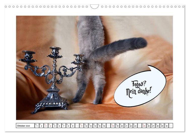 Produktbild: Lustiger Katzenkalender (Wandkalender 2026 DIN A3 quer), CALVENDO Monatskalender