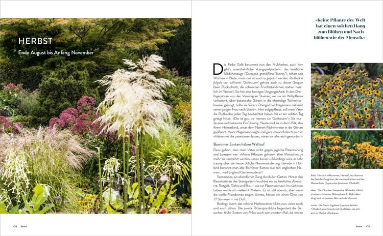 Produktbild: Der Garten meines Vaters Karl Foerster