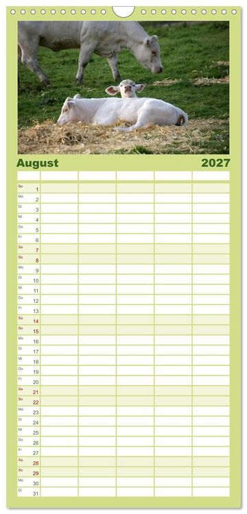Produktbild: Familienplaner 2027 - Muuuhhh! mit 5 Spalten (Wandkalender, 21 x 45 cm) CALVENDO