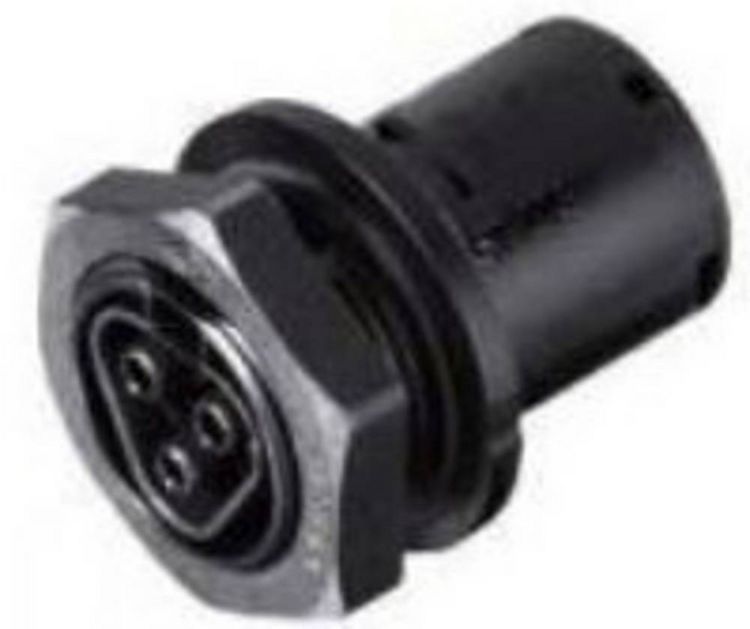 Produktbild: Wieland Electric 96.031.1053.1 Rundstecker Buchse, Einbau Gesamtpolzahl: 3 1St.