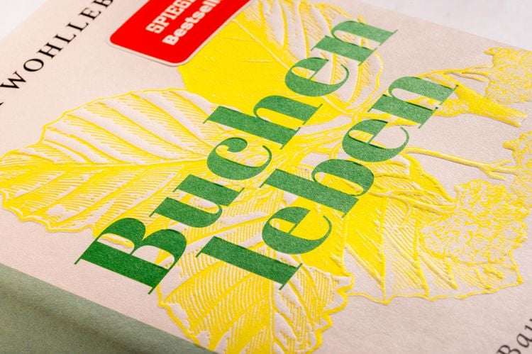 Produktbild: Sonderedition: Buchenleben