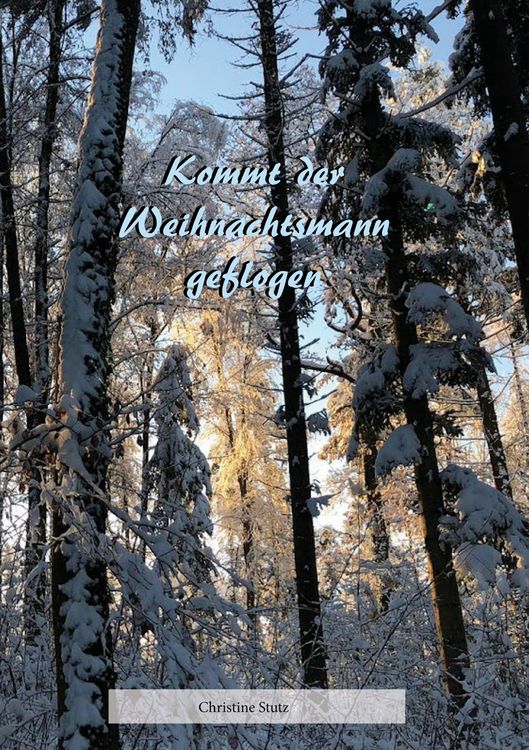 Produktbild: Kommt der Weihnachtsmann geflogen