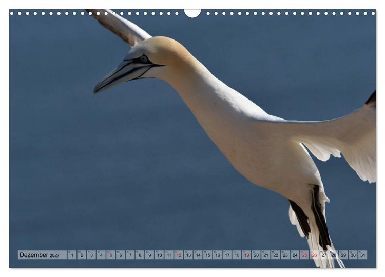Produktbild: Sch&ouml;ne Insel Helgoland (Wandkalender 2027 DIN A3 quer), CALVENDO Monatskalender