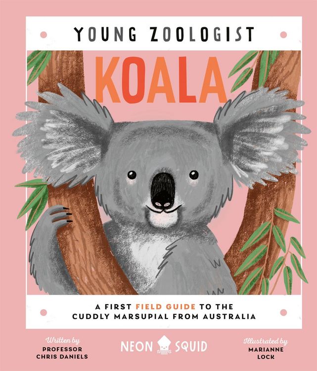 Produktbild: Koala (Young Zoologist)