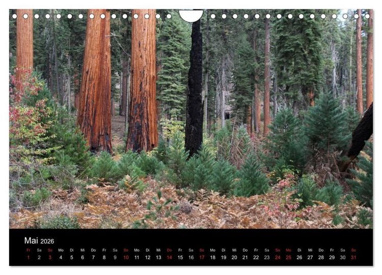 Produktbild: Kalifornien 2026 (Wandkalender 2026 DIN A4 quer), CALVENDO Monatskalender