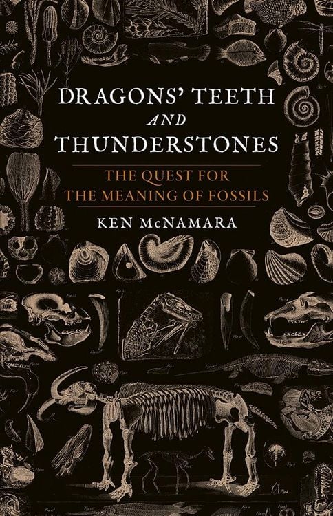 Produktbild: Dragons' Teeth and Thunderstones