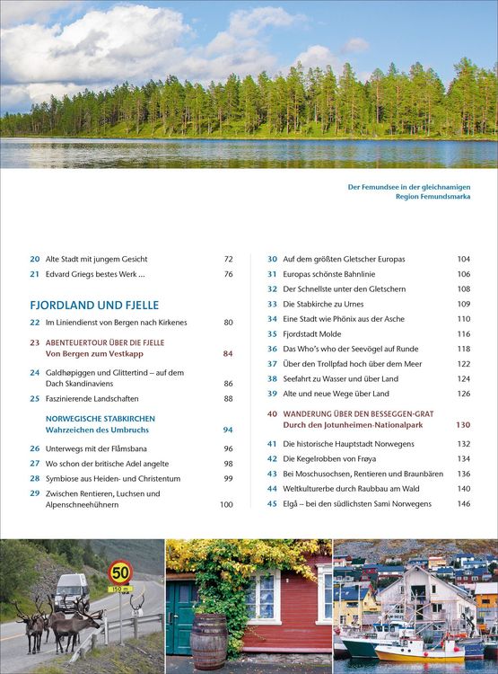 Produktbild: Das Wohnmobil Reisebuch Norwegen