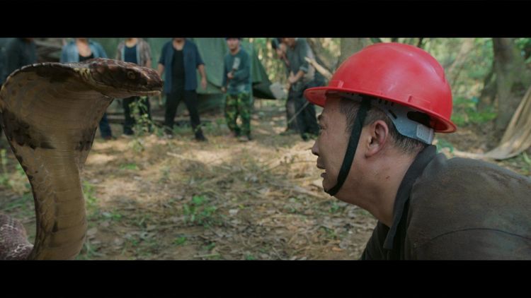 Produktbild: King Serpent Island