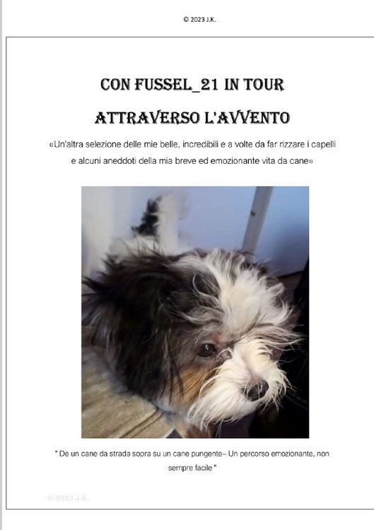 Produktbild: Con Fussel_21 in Tour attraverso l'avvento