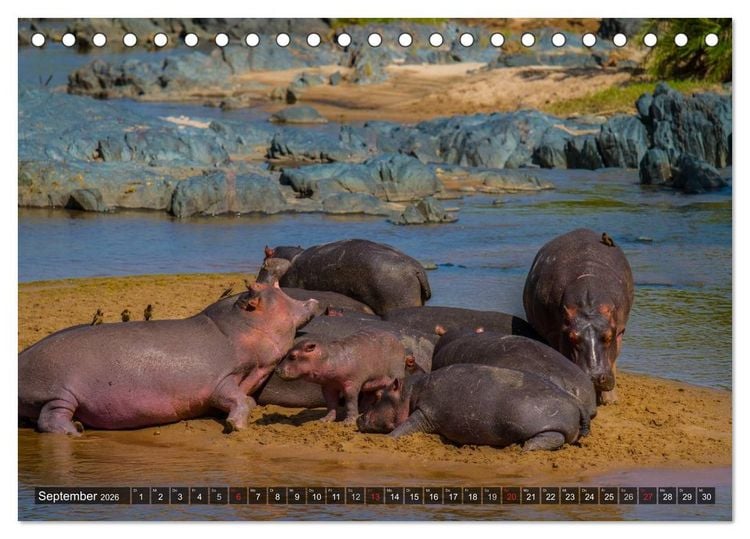 Produktbild: Abenteuer Tansania, Afrika (Tischkalender 2026 DIN A5 quer), CALVENDO Monatskalender