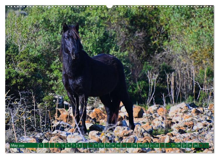 Produktbild: European Island Sardinia (High Quality Premium Wall Calendar 2026 DIN A2 landscape),CALVENDO 12 Month Wall Calendar