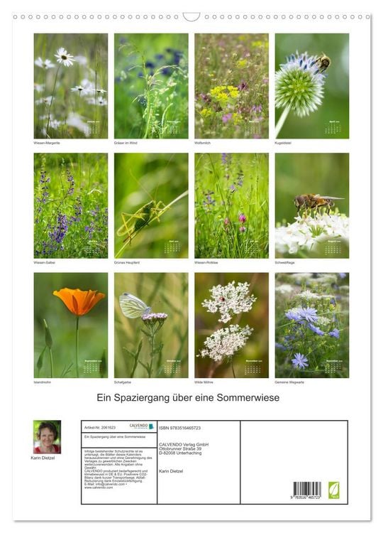 Produktbild: Ein Spaziergang &uuml;ber eine Sommerwiese (Wandkalender 2026 DIN A2 hoch), CALVENDO Monatskalender