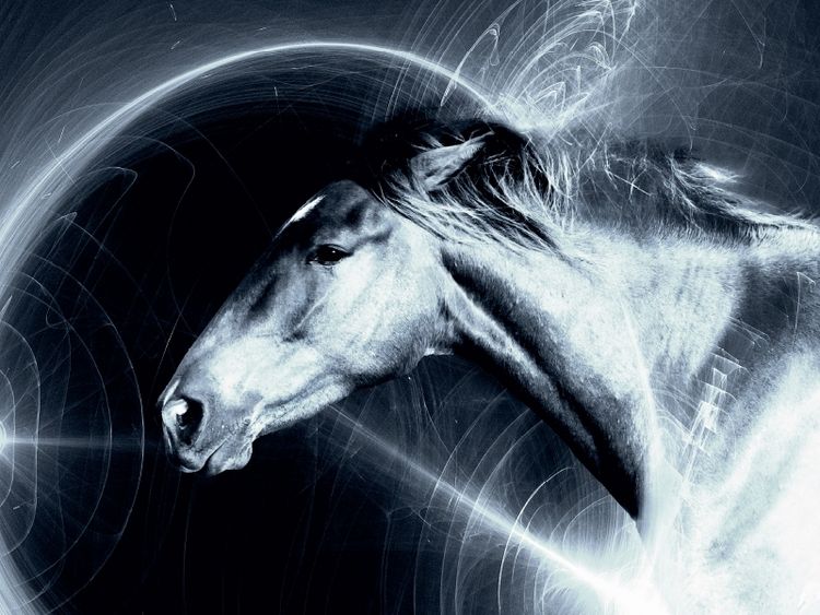 Produktbild: CALVENDO Puzzle SpaceHorse | 1000 Teile Lege-Gr&ouml;&szlig;e 64x48cm Foto-Puzzle f&uuml;r gl&uuml;ckliche Stunden