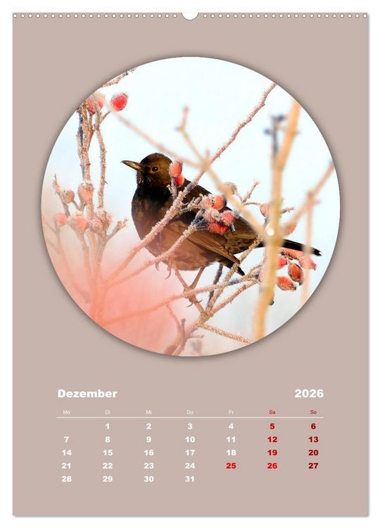 Produktbild: Rundherum Natur (hochwertiger Premium Wandkalender 2026 DIN A2 hoch), Kunstdruck in Hochglanz