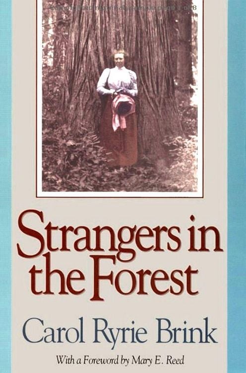 Produktbild: Strangers in the Forest