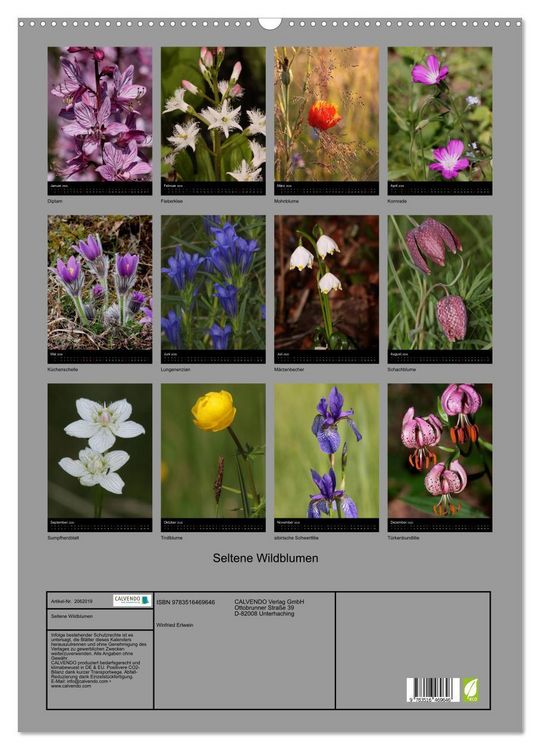 Produktbild: Seltene Wildblumen (Wandkalender 2026 DIN A2 hoch), CALVENDO Monatskalender