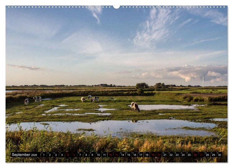 Produktbild: Nordseeinsel Pellworm 2026 (hochwertiger Premium Wandkalender 2026 DIN A2 quer), Kunstdruck in Hochglanz
