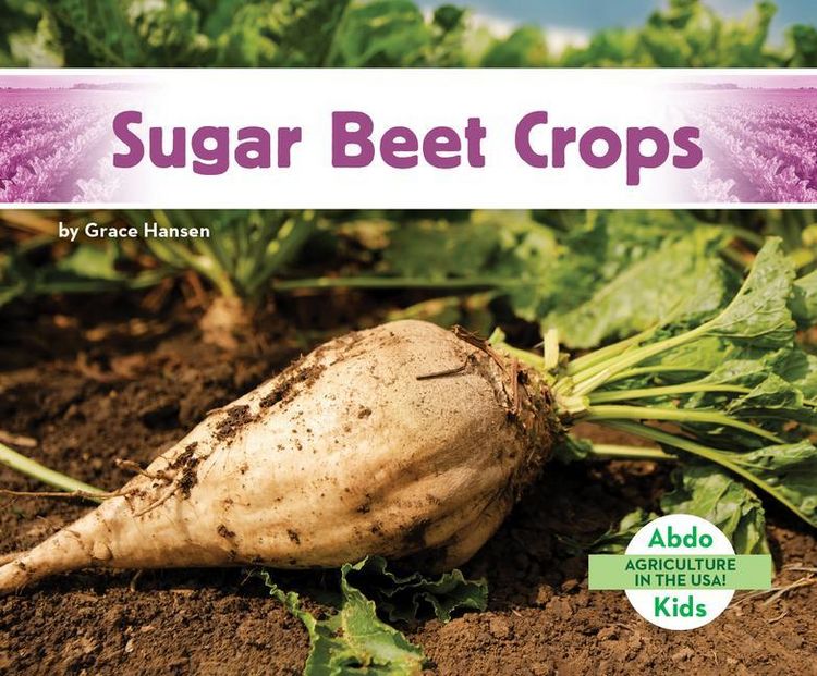 Produktbild: Sugar Beet Crops