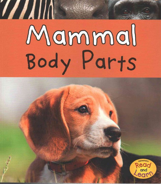 Produktbild: Mammal Body Parts