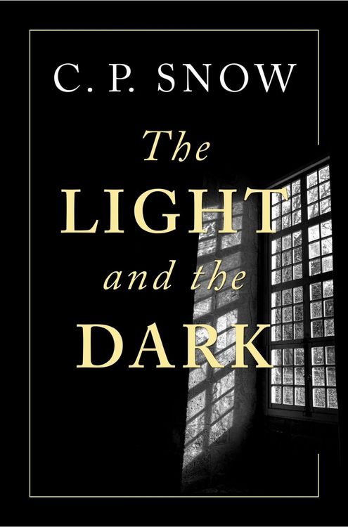 Produktbild: The Light and the Dark
