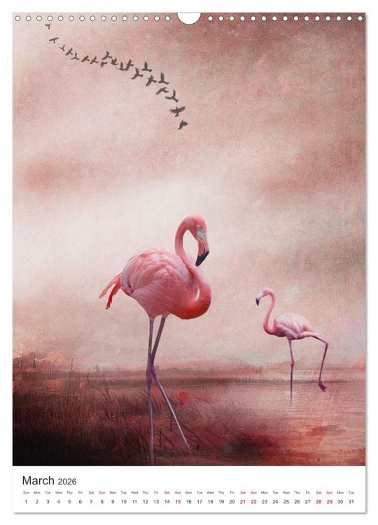 Produktbild: Flamingo and the sea (Wall Calendar 2026 DIN A3 portrait), CALVENDO 12 Month Wall Calendar