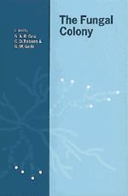 Produktbild: The Fungal Colony