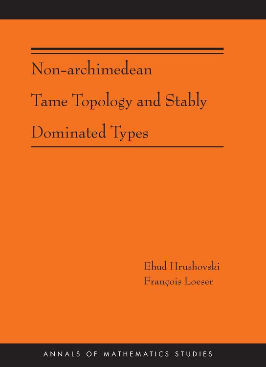 Produktbild: Non-Archimedean Tame Topology and Stably Dominated Types