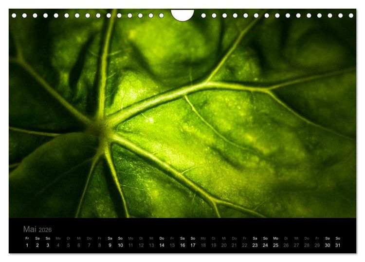 Produktbild: Natur im Detail (Wandkalender 2026 DIN A4 quer), CALVENDO Monatskalender