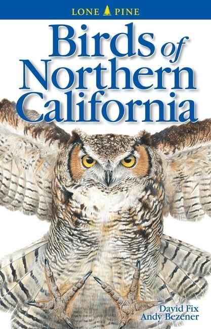 Produktbild: Birds of Northern California