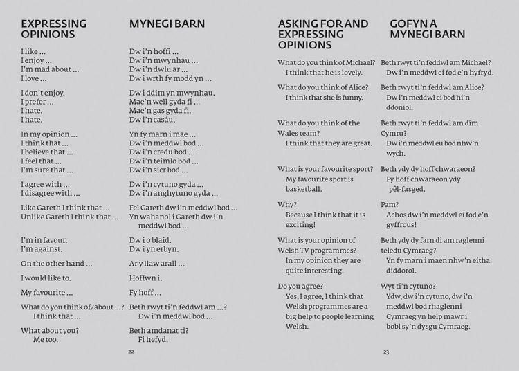 Produktbild: Welsh Gem Dictionary