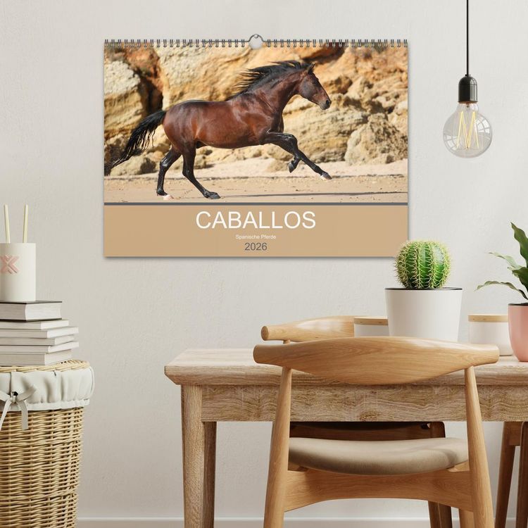 Produktbild: Caballos Spanische Pferde 2026 (Wandkalender 2026 DIN A3 quer), CALVENDO Monatskalender