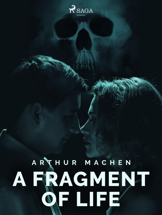 Produktbild: A Fragment of Life