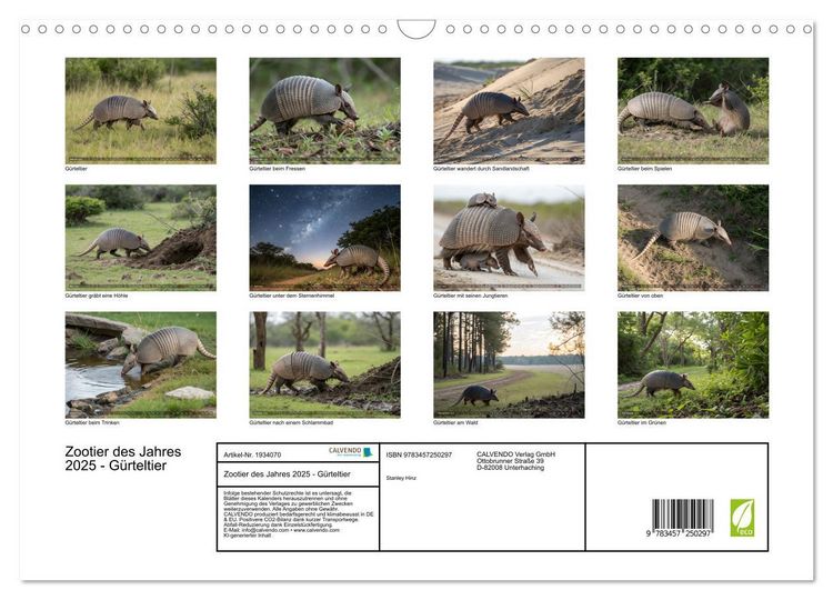 Produktbild: Zootier des Jahres 2025 - G&uuml;rteltier (Wandkalender 2026 DIN A3 quer), CALVENDO Monatskalender