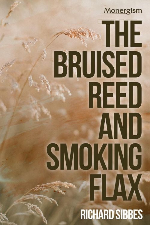 Produktbild: The Bruised Reed