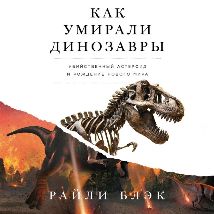 Produktbild: The Last Days of the Dinosaurs. An Asteroid, Extinction, and the Beginning of Our World