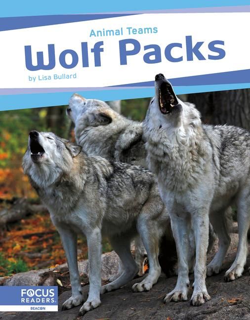 Produktbild: Wolf Packs