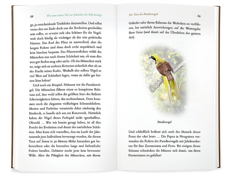 Produktbild: Kleine Philosophie der V&ouml;gel