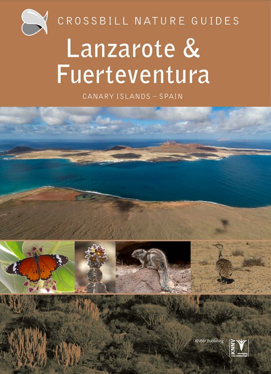 Produktbild: Lanzarote and Fuerteventura