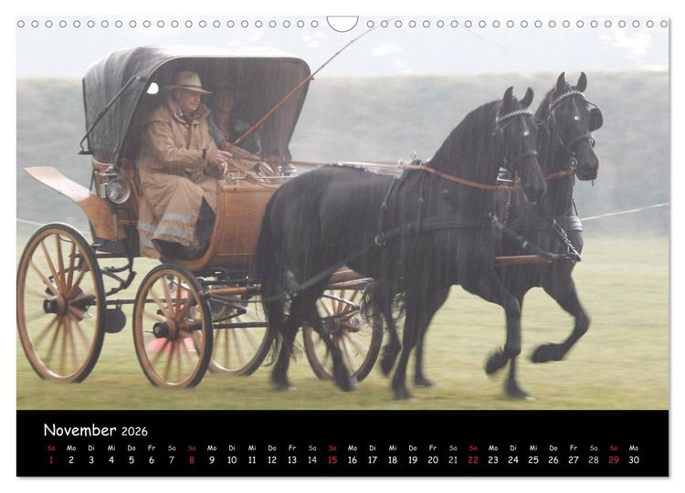 Produktbild: CIAT - Historischer Fahrsport in Celle (Wandkalender 2026 DIN A3 quer), CALVENDO Monatskalender