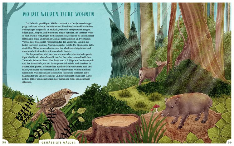 Produktbild: Wir sind die Tiere dieser Welt - Das gro&szlig;e Tier-Lexikon der Gemeinsamkeiten und Unterschiede
