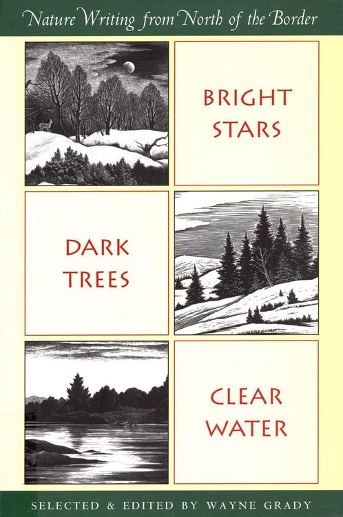 Produktbild: Bright Stars, Dark Trees, Clear Water