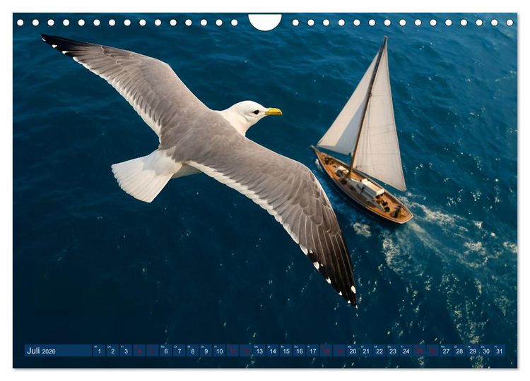 Produktbild: &Uuml;ber dem Vogelflug (Wandkalender 2026 DIN A4 quer), CALVENDO Monatskalender