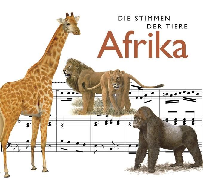 Produktbild: Afrika