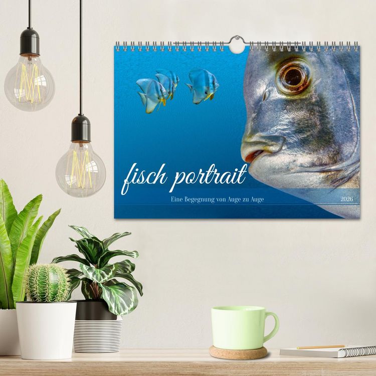 Produktbild: fisch portrait (Wandkalender 2026 DIN A4 quer), CALVENDO Monatskalender