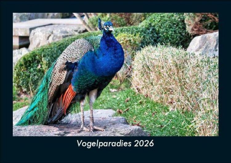 Produktbild: Vogelparadies 2026 Fotokalender DIN A5